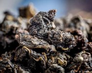 奇蘭屬于什么茶葉(奇蘭茶屬于什么茶,奇蘭茶都有哪些特點)